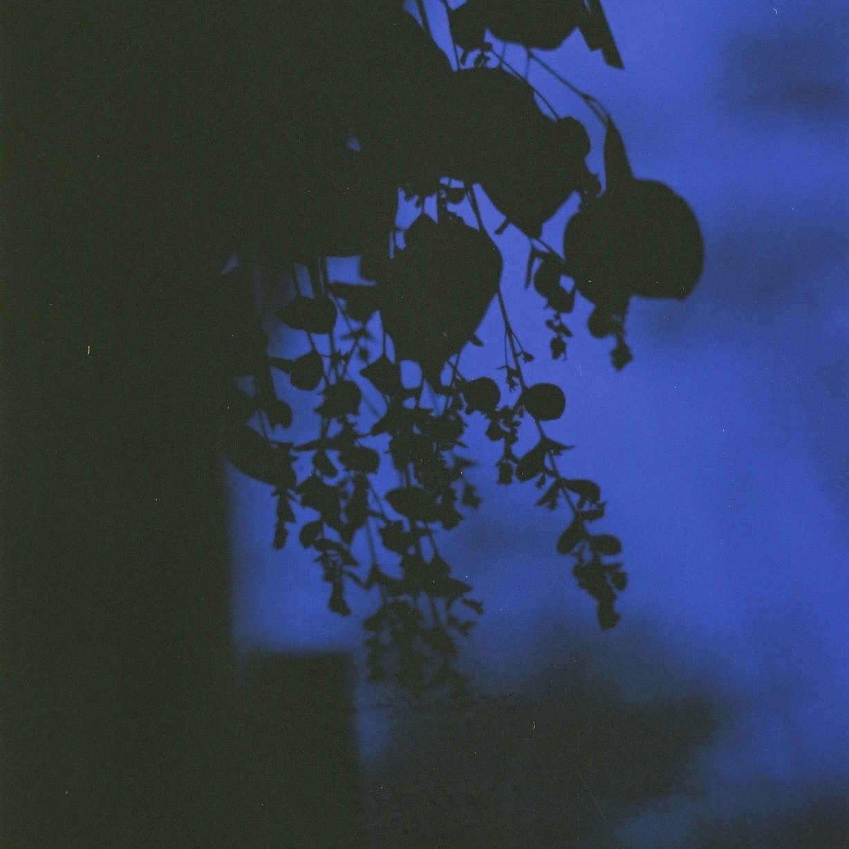 ▼2 - EP